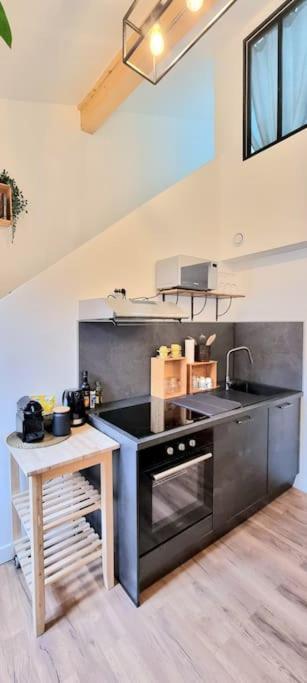 Le Duplex Catherine - Metro - Gare - Wifi Тулуза Екстер'єр фото