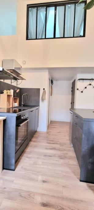 Le Duplex Catherine - Metro - Gare - Wifi Тулуза Екстер'єр фото