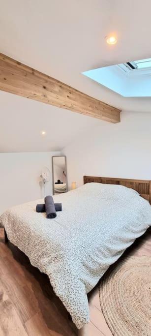 Le Duplex Catherine - Metro - Gare - Wifi Тулуза Екстер'єр фото