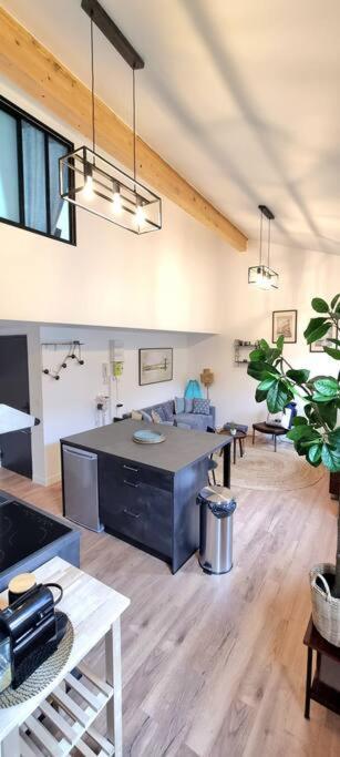 Le Duplex Catherine - Metro - Gare - Wifi Тулуза Екстер'єр фото