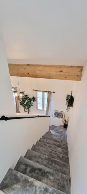 Le Duplex Catherine - Metro - Gare - Wifi Тулуза Екстер'єр фото