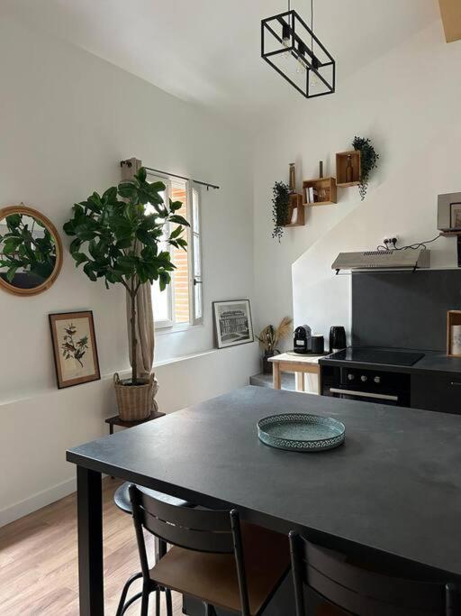 Le Duplex Catherine - Metro - Gare - Wifi Тулуза Екстер'єр фото